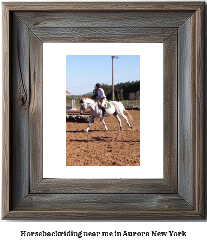 horseback riding near me in Aurora, New York